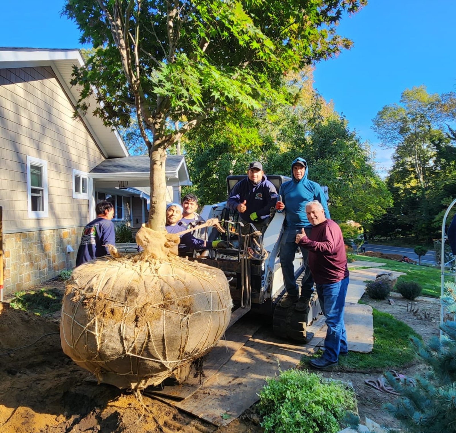 section 1 - dic2025 - topline (1)