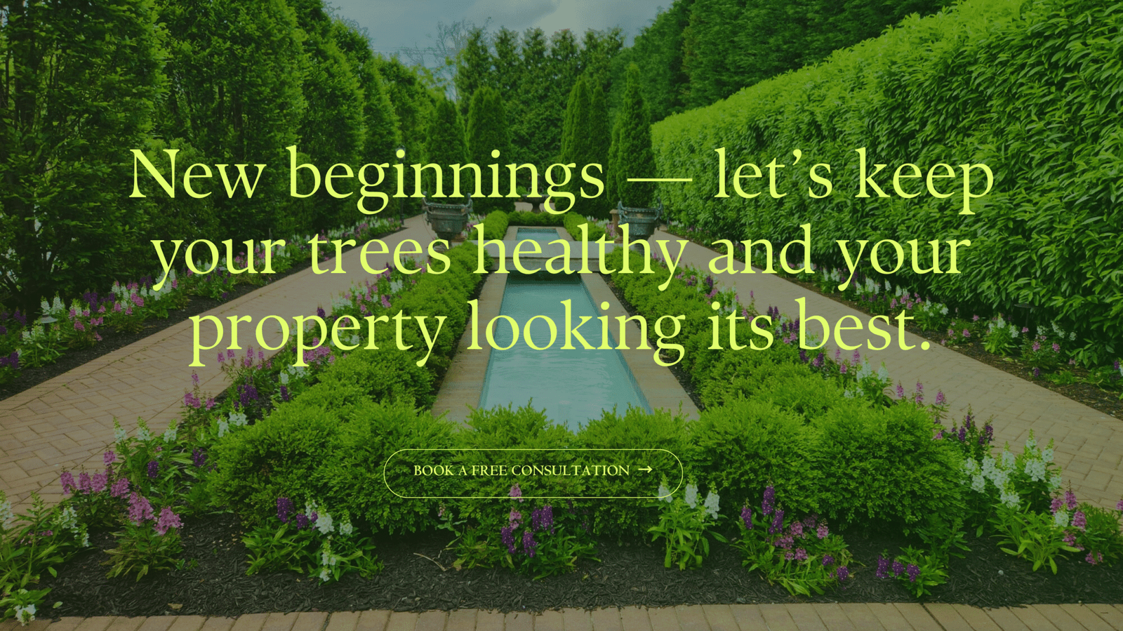 NUEVA IMAGEN WEBSITE TOPLINE 02ENERO2026